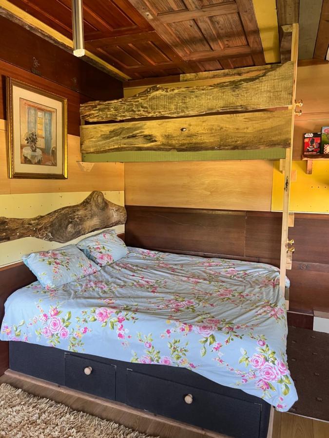 Foxglove Eco Lodge ลาแนคลี ภายนอก รูปภาพ