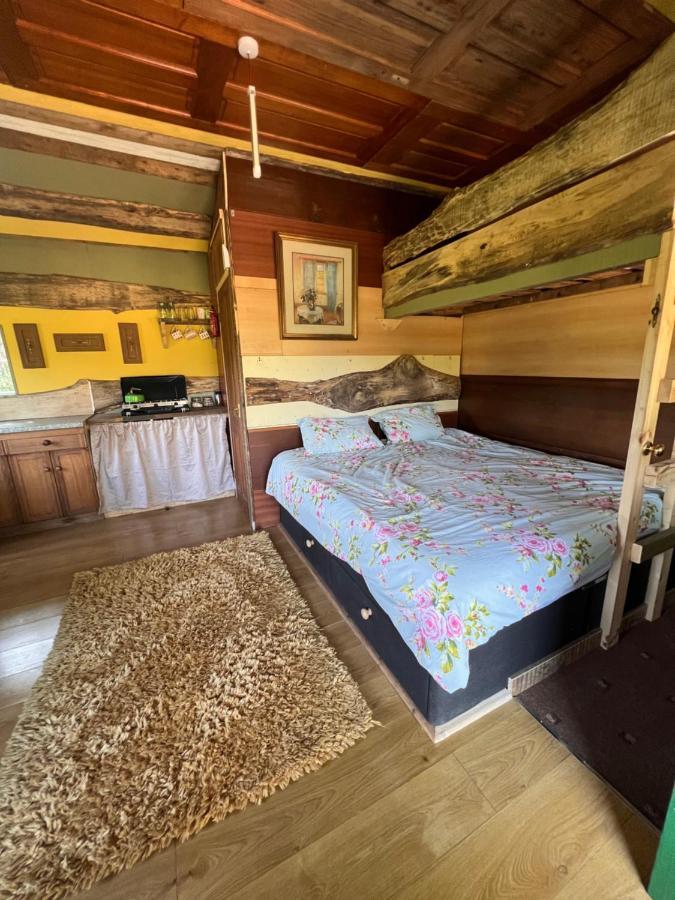Foxglove Eco Lodge ลาแนคลี ภายนอก รูปภาพ