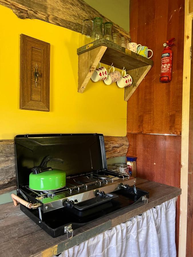 Foxglove Eco Lodge ลาแนคลี ภายนอก รูปภาพ