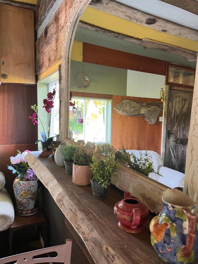 Foxglove Eco Lodge ลาแนคลี ภายนอก รูปภาพ